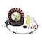 Rmstator Kit High Output Stator 300 W + Crankcase Cover Gasket for Yamaha YFM 660 R Raptor 2001-2005 RM01013G - alternate 1